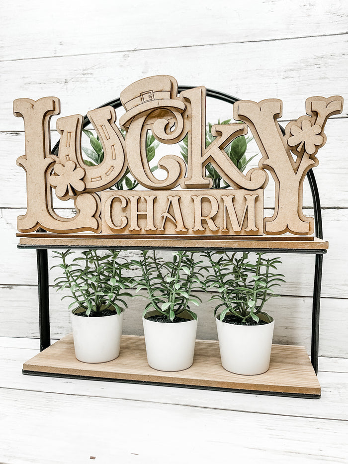 Lucky Charm Sitter DIY Kit
